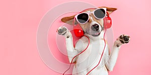 Happy colourful dog chilling listening to music wearing headphones.