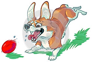 Happy Corgi Dog Chasing Red Ball Vector Cartoon