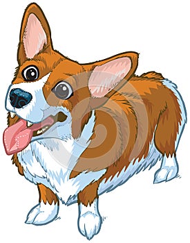Happy Corgi Dog Vector Cartoon Illustration photo