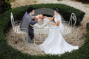 Happy couple at the banquet table on field