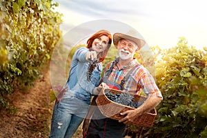 Happy couple with baskets full of grapes