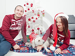 Happy couple with dog, all in Christmas clothes sitting near Christmas tree