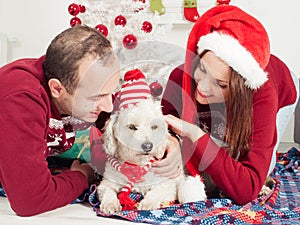 Happy couple with dog, all in Christmas clothes sitting near Christmas tree