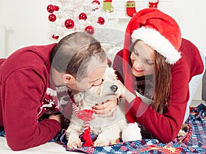 Happy couple with dog, all in Christmas clothes sitting near Christmas tree