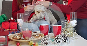 Happy couple with dog, all in Christmas clothes sitting near Christmas tree