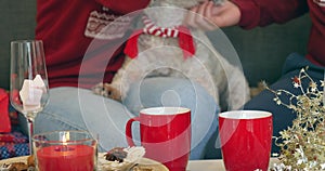 Happy couple with dog, all in Christmas clothes sitting near Christmas tree