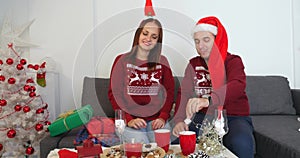 Happy couple with dog, all in Christmas clothes sitting near Christmas tree