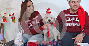 Happy couple with dog, all in Christmas clothes sitting near Christmas tree