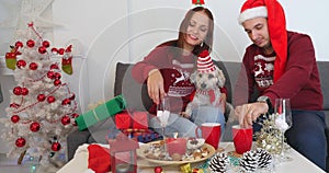 Happy couple with dog, all in Christmas clothes sitting near Christmas tree