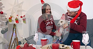 Happy couple with dog, all in Christmas clothes sitting on the sofa near Christmas tree