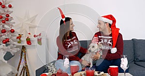Happy couple with dog sitting on the sofa near Christmas tree