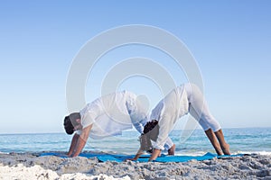 Happy couple doing yoga beside the water