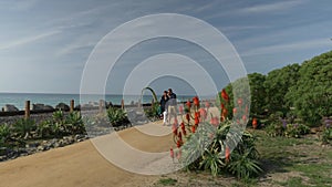 Happy couple enjoying beautiful day walking holding hands on the beach. Close to pacific surf liner rails travel vacation