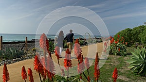 Happy couple enjoying beautiful day walking holding hands on the beach. Travel vacation retirement lifestyle concept