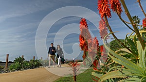 Happy couple enjoying beautiful day walking holding hands on the beach. Travel vacation retirement lifestyle concept