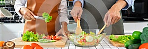 Happy couple having fun standing in kitchen at home preparing vegetable salad husband and wife vegetarians chop vegetables prepare