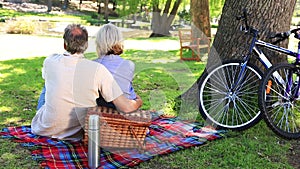 Happy couple having a picnic in the park