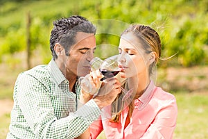 Happy couple having wine