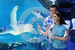 Happy couple near aquarium in oceanarium. Spending time together