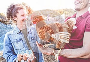 Happy couple picking up fresh organic eggs in henhouse farm at sunset - Young farmers working in summer time - Healthy lifestyle,