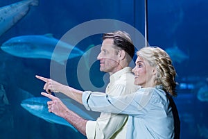 Happy couple pointing a fish tank