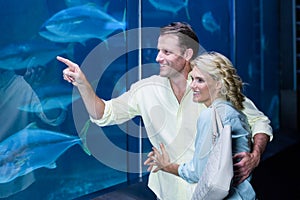 Happy couple pointing a fish tank