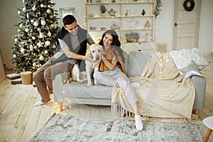 happy couple is sitting on sofa with dog, christmas. new year at home. family and date