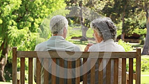 Happy couple talking together while sitting on a bench