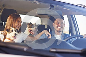 Happy couple with two dogs traveling by car