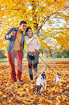 Happy couple walking outdoors in park with dogs