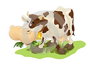 Happy cow eating grass
