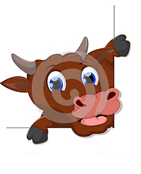 Happy Cow Smile cartoon white background for you design
