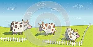 Happy Cows on Grassland