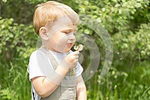 happy cute blond child boy blowing dendelion flower in green park