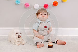 Happy cute Caucasian baby boy celebrating first birthday at home. Child kid toddler sitting on floor with white pet dog friend.