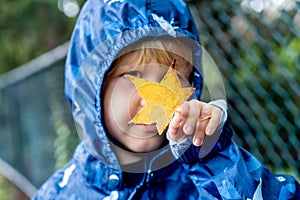 Happy cute caucasian little boy toddler preschooler wearing blue raincoat jacket holding yellow maple leaf on a rainy autumn day.