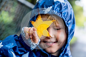 Happy cute caucasian little boy toddler preschooler wearing blue raincoat jacket holding yellow maple leaf on a rainy autumn day.