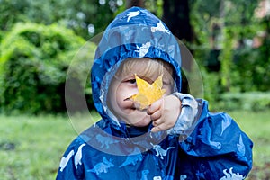 Happy cute caucasian little boy toddler preschooler wearing blue raincoat jacket holding yellow maple leaf on a rainy autumn day.