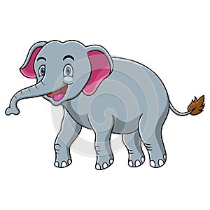 Happy cute elephant cartoon isolated on white background