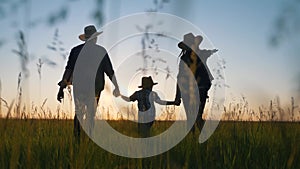 Happy cute family. Parents, father, mother, son are walking across the field in the park at evening sunset. Happy cute