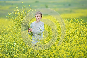 Happy cute handsome little kid boy on green grass lawn with blooming yellow dandelion flowers on sunny spring or summer day. Littl
