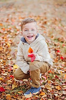 Happy cute little boy in autumn park among fallen leaves