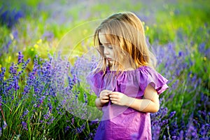 Happy cute little girl is in a lavender field is wearing lilac dress holding bouquet of purple flowers