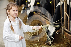 Happy cute little girl in white robe holds hay for