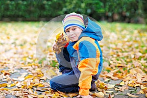Happy cute little kid boy with autumn leaves playing in garden