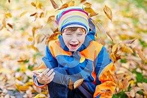 Happy cute little kid boy with autumn leaves playing in garden