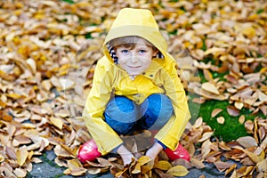 Happy cute little kid boy with autumn leaves playing in garden