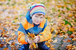 Happy cute little kid boy with autumn leaves playing in garden