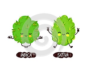 Happy cute smiling indica and sativa weed bud