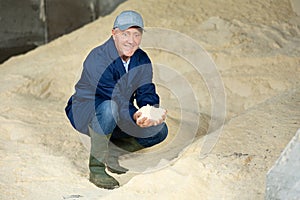 Happy dairy farm male worker holding corn flour animal feed for dairy cattle in farm storage area